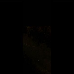 Meet your Posher, Marilyn